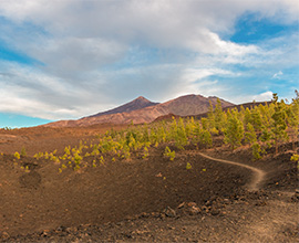 Vulkanische Landschaft & Berge, Canary Productions