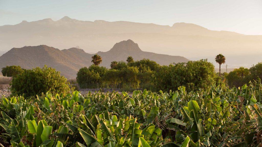 localizaciones rurales rodajes canarias